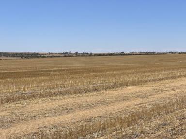 Farm Sold - WA - Nungarin - 6490 - Well Located Cropping Opportunity  (Image 2)