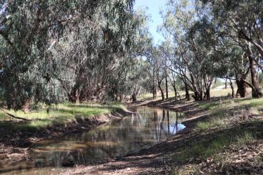 Farm Sold - NSW - Burcher - 2671 - Highly Efficient Burcher Farming Block On Humbug Creek  (Image 2)