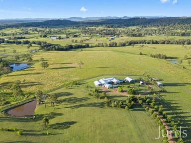 Farm Sold - NSW - Lovedale - 2325 - SPRINGFIELD - HUNTER VALLEY  (Image 2)