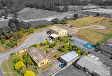 Farm Sold - TAS - Wynyard - 7325 - Rare Allotment! So Much Opportunity!  (Image 2)