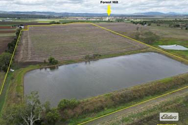 Farm Sold - QLD - Forest Hill - 4342 - Productive 70 Acres in Prime Location
UNDER CONTRACT  (Image 2)