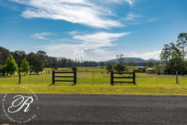 Farm For Sale - NSW - Darawank - 2428 - Build your Dream Home!  (Image 2)