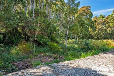 Farm For Sale - TAS - Strahan - 7468 - WANT TO BE A LOCAL?  (Image 2)
