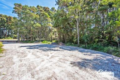 Farm For Sale - TAS - Strahan - 7468 - WANT TO BE A LOCAL?  (Image 2)