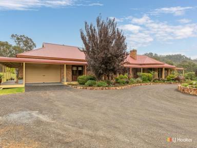 Farm For Sale - NSW - Candelo - 2550 - PICTURESQUE AND HOMELY  (Image 2)