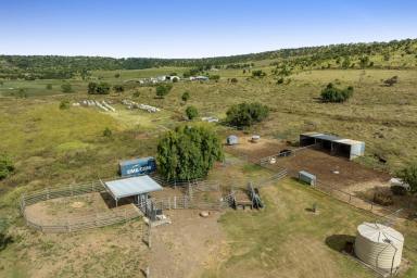 Farm Sold - QLD - Glencoe - 4352 - "CARAYA" – 110 Acres - Productive Grazing and Cropping in a Premium Location  (Image 2)