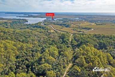 Farm Sold - TAS - Strahan - 7468 - BUSH BEAUTY  (Image 2)