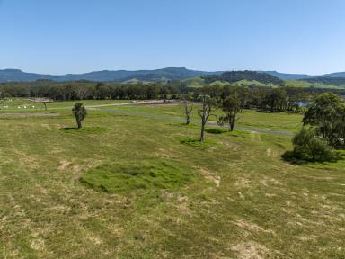 Farm For Sale - NSW - Berry - 2535 - Dream Lifestyle Opportunity  (Image 2)