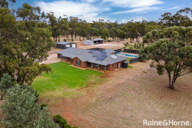 Farm Sold - NSW - Coolamon - 2701 - Own your Own Sanctuary  (Image 2)