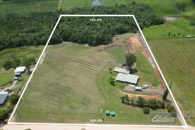 Farm For Sale - QLD - Dingo Pocket - 4854 - Large home, Huge Shed, Pool and Dam  (Image 2)