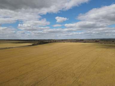 Farm Sold - SA - Crystal Brook - 5523 - 'Huddleston'  (Image 2)