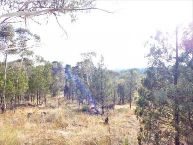 Farm Sold - NSW - Cooma - 2630 - Vacant Land Residential  (Image 2)