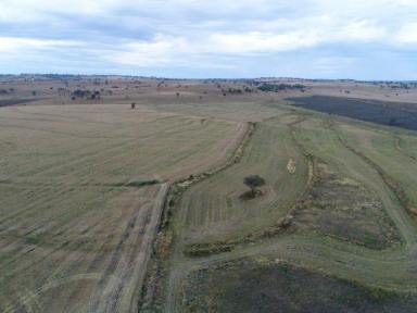 Farm Sold - NSW - Warialda - 2402 - Cropping and Grazing  (Image 2)