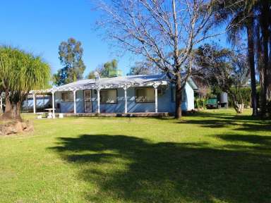 Farm For Sale - NSW - Baradine - 2396 - LET YOUR IMAGINATION RUN WILD !!  (Image 2)