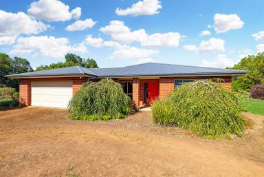 Farm Expressions of Interest - VIC - Purnim - 3278 - Lifestyle, Farmlet and Privacy  (Image 2)