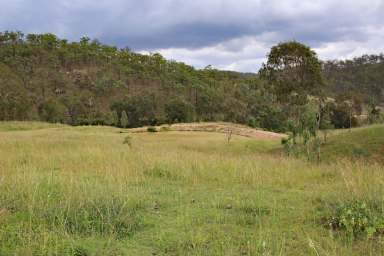 Farm Tender - QLD - Yarrol - 4630 - Burnett River Grazing Property "Twin Creeks"  (Image 2)