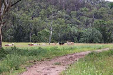 Farm Tender - QLD - Yarrol - 4630 - Burnett River Grazing Property "Twin Creeks"  (Image 2)