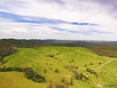 Farm For Sale - QLD - Yarrol - 4630 - Cattle Breeding with Additional Income  (Image 2)