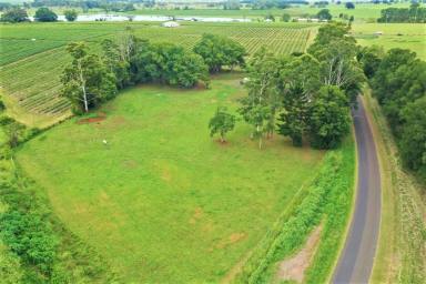 Farm Sold - NSW - Kyogle - 2474 - VACANT LAND IN GREAT LOCATION  (Image 2)