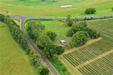 Farm Sold - NSW - Kyogle - 2474 - VACANT LAND IN GREAT LOCATION  (Image 2)