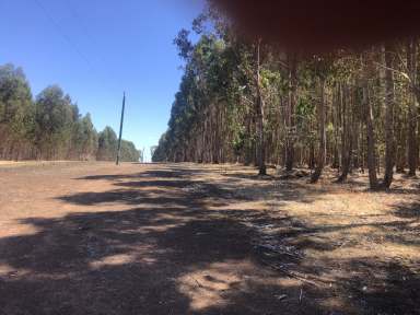 Farm Sold - WA - Dingup - 6258 - MANJIMUP  (Image 2)