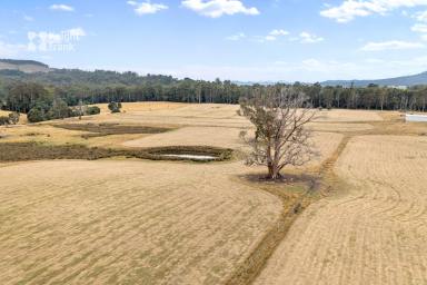 Farm Sold - TAS - Legerwood - 7263 - “Country, With Character”  (Image 2)