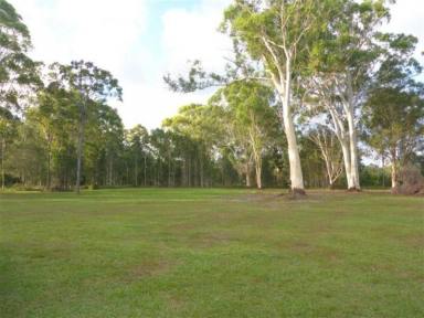 Farm Sold - QLD - Ringtail Creek - 4565 - 5 ACRES CLOSE TO NOOSA.  (Image 2)