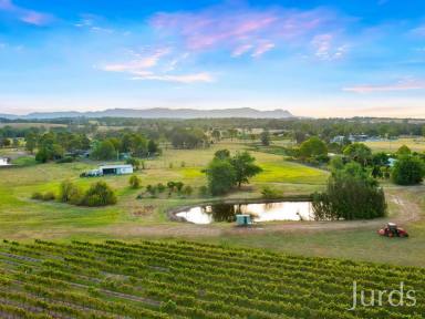 Farm For Sale - NSW - Lovedale - 2325 - STANLEIGH PARK  (Image 2)