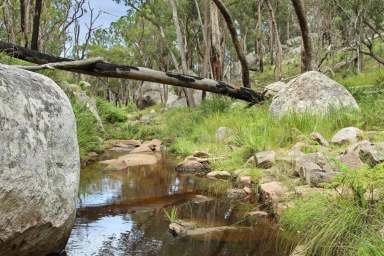 Farm Sold - NSW - Tenterfield - 2372 - Mt McKenzie Lifestyle.....  (Image 2)