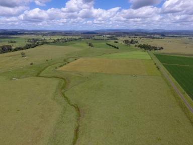 Farm Sold - NSW - Stratheden - 2470 - 'MYOKA'  - EDEN CREEK FRONTAGE  (Image 2)