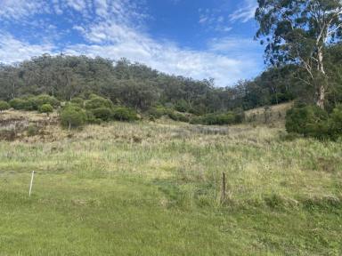 Farm Sold - nsw - Yarrawa - 2328 - Lifestyle Block With a Dwelling Entitlement  (Image 2)