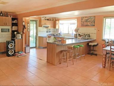 Farm Sold - NSW - Narromine - 2821 - The Lifestyle Package  (Image 2)