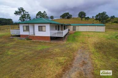 Farm Sold - NSW - Bunyah - 2429 - LONG TIME HELD FAMILY PROPERTY  (Image 2)