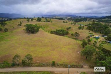 Farm Sold - NSW - Bunyah - 2429 - SITTING PRETTY  (Image 2)