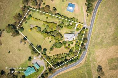 Farm Sold - NSW - Candelo - 2550 - Fabulous Lifestyle Property only minutes from Candelo Village  (Image 2)