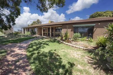 Farm Sold - VIC - Beverford - 3590 - Elevate Your Senses  (Image 2)