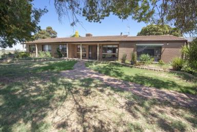 Farm Sold - VIC - Beverford - 3590 - Elevate Your Senses  (Image 2)