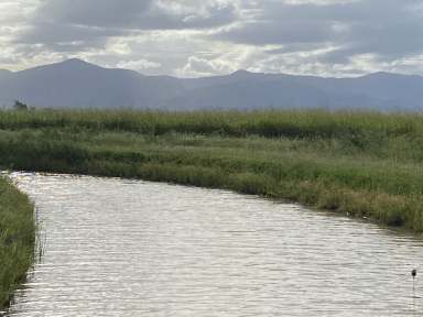 Farm Sold - QLD - Horseshoe Lagoon - 4809 - 89 Acres - Bountiful Burdekin Property  (Image 2)