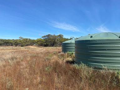 Farm Sold - SA - Cambrai - 5353 - Affordable, large (159 Ha) rustic nature block. Original mallee country, large areas cleared. Bore and holding tanks.  (Image 2)