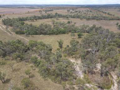 Farm Sold - QLD - Tummaville - 4352 - Prime Grazing - Consistently producing Fat cattle  (Image 2)