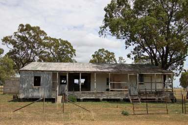 Farm Sold - QLD - Tummaville - 4352 - Prime Grazing - Consistently producing Fat cattle  (Image 2)