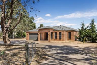 Farm Sold - VIC - Huntly - 3551 - CONTEMPORARY FAMILY HOME ON ACREAGE  (Image 2)