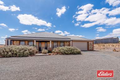 Farm Sold - SA - St Johns - 5373 - UNDER CONTRACT BY JEFF LIND  (Image 2)