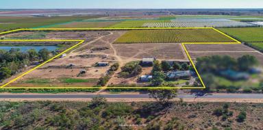 Farm Sold - VIC - Merbein South - 3505 - LIFESTYLE PROPERTY WITH MULTIPLE POSSIBILITIES  (Image 2)