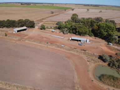 Farm Sold - NSW - Coleambally - 2707 - Superior Soils centrally located in the Coleambally Irrigation Area - Selling as a whole or as 2 separate titles  (Image 2)