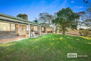 Farm Sold - WA - Thomson Brook - 6239 - ONE OF THE BEST LIFESTYLE  PROPERTIES AVAILABLE!  (Image 2)