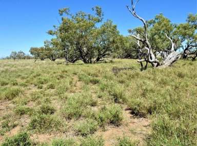 Farm Sold - QLD - Winton - 4735 - Addarea  (Image 2)