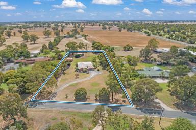 Farm Sold - NSW - Moama - 2731 - Opportunity Presents  (Image 2)