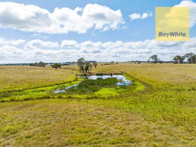 Farm Sold - NSW - Goulburn - 2580 - Great Rural Holdings  (Image 2)