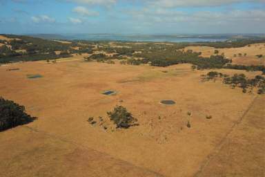 Farm Sold - WA - Kalgan - 6330 - A Rare Find!  (Image 2)